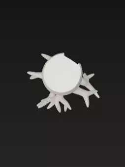 3D Baobab Tree With Hollow Model 3D print model_1