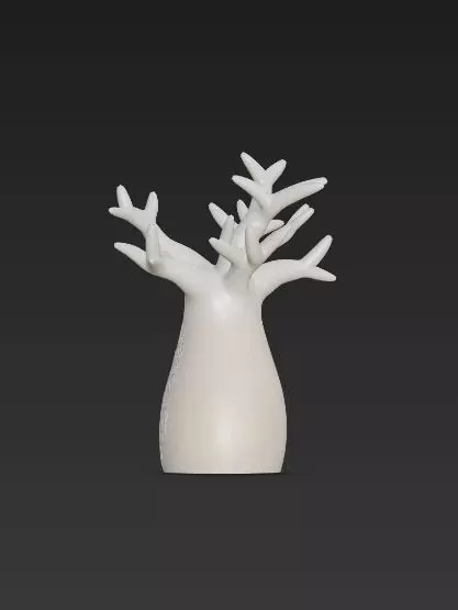 3D Baobab Tree With Hollow Model 3D print model_9