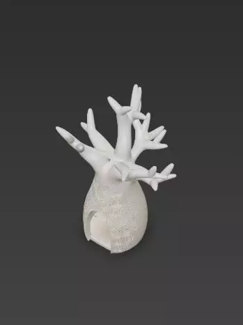 3D Baobab Tree With Hollow Model 3D print model_5