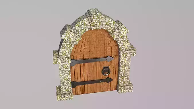Medieval Door