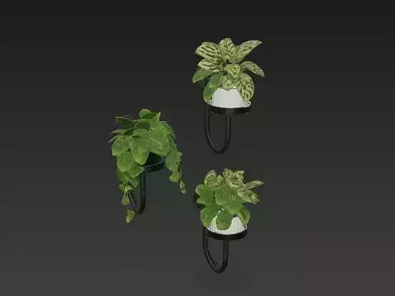 Cute Potted Plants on Modern Wall Shelves - Set of 3
