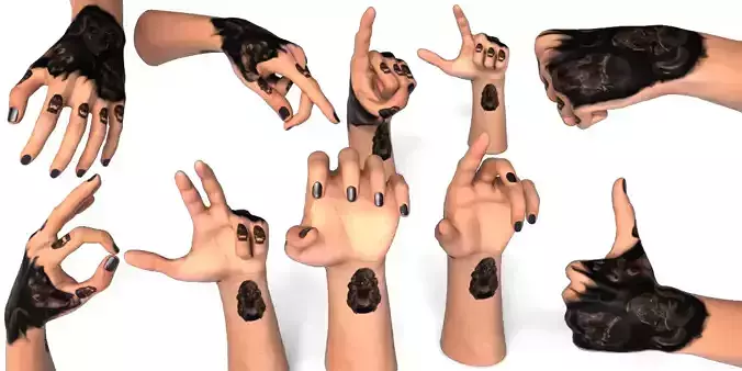 Rigged Hands High Quality With 10 Ready Poses