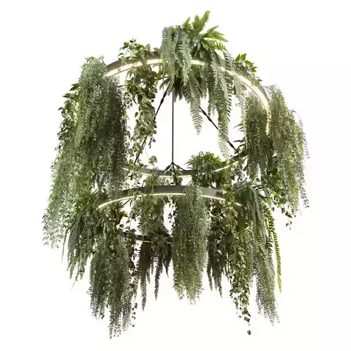 plant vol 690 - hanging - Pothos - Fern - Chandelier 