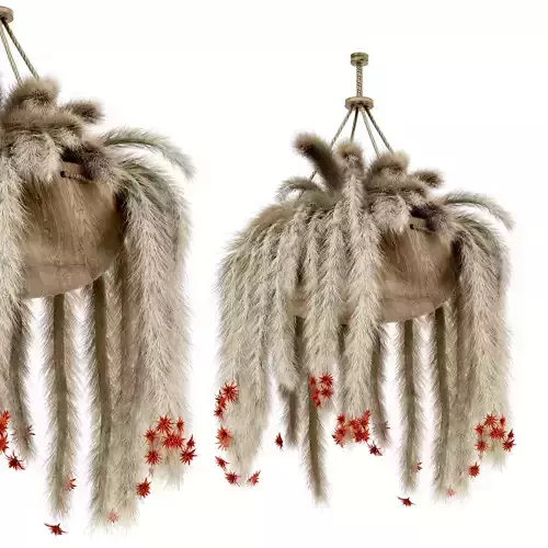 Indoor plants -Hanging plant-Hildewintera set-20 3D model