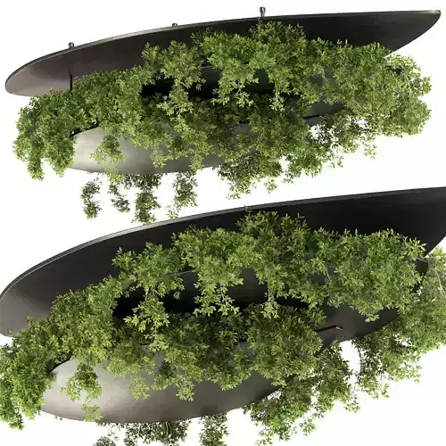 Indoor plants-Hanging plants set-21 3D model