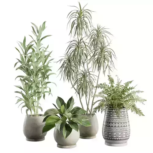 Indoor Plants Pack 104