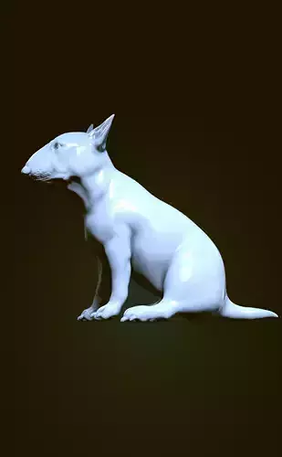 Bull Terrier Sitting