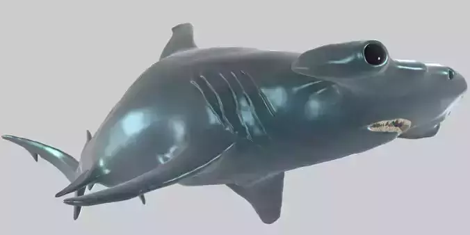 Hammer Shark Realistic