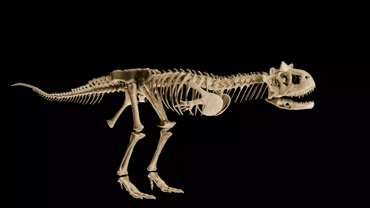 Carnotaurus sastrei Skeleton 3D Model Fully Textured for Your Pr Free low-poly 3D model_1