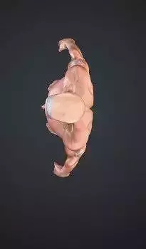 Ultra-Realistic Male Anatomy 3D Model  