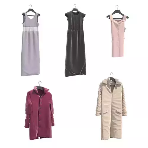 Clothing on Hanger 16