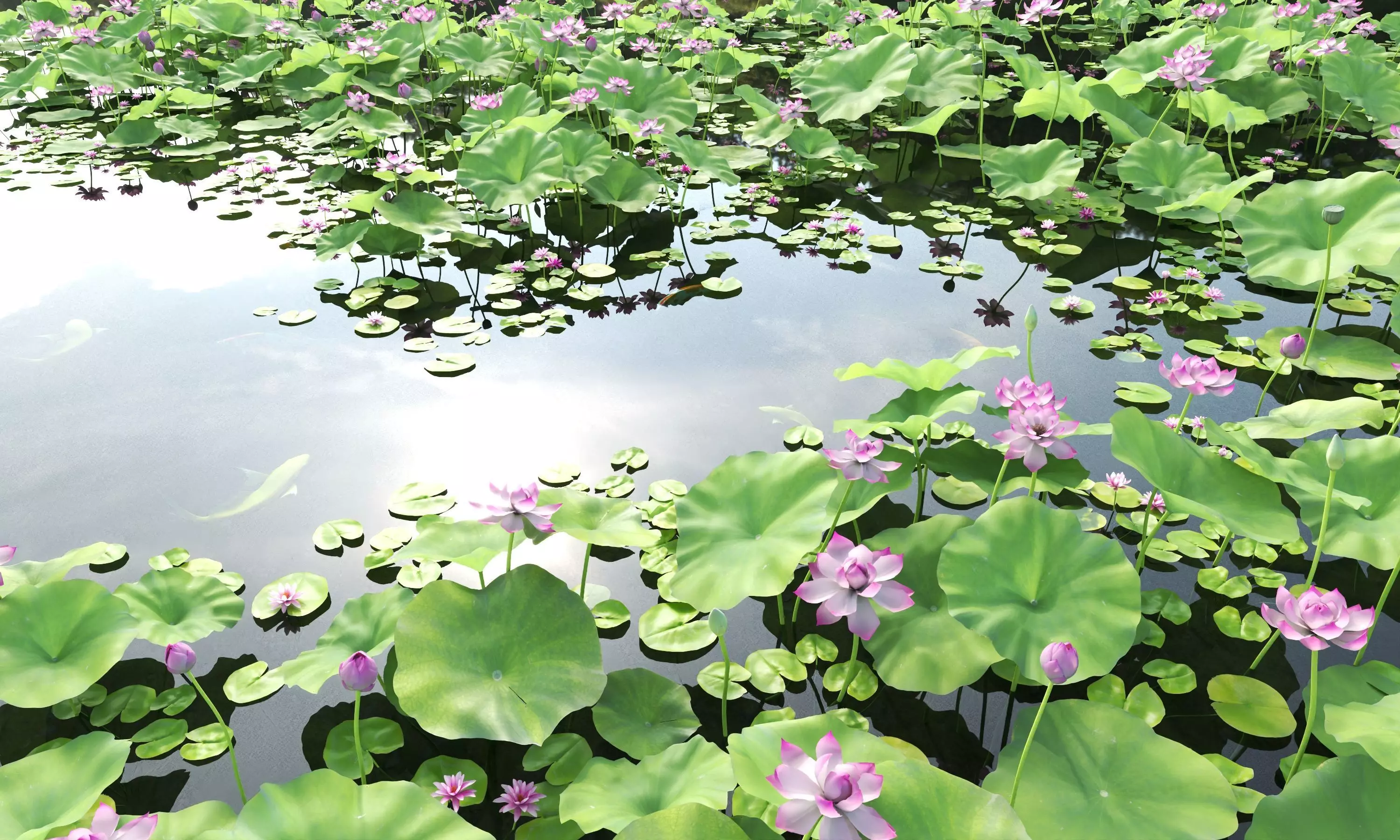 Lotus and Koi Fish Pond 01 Low-poly 3D model_1