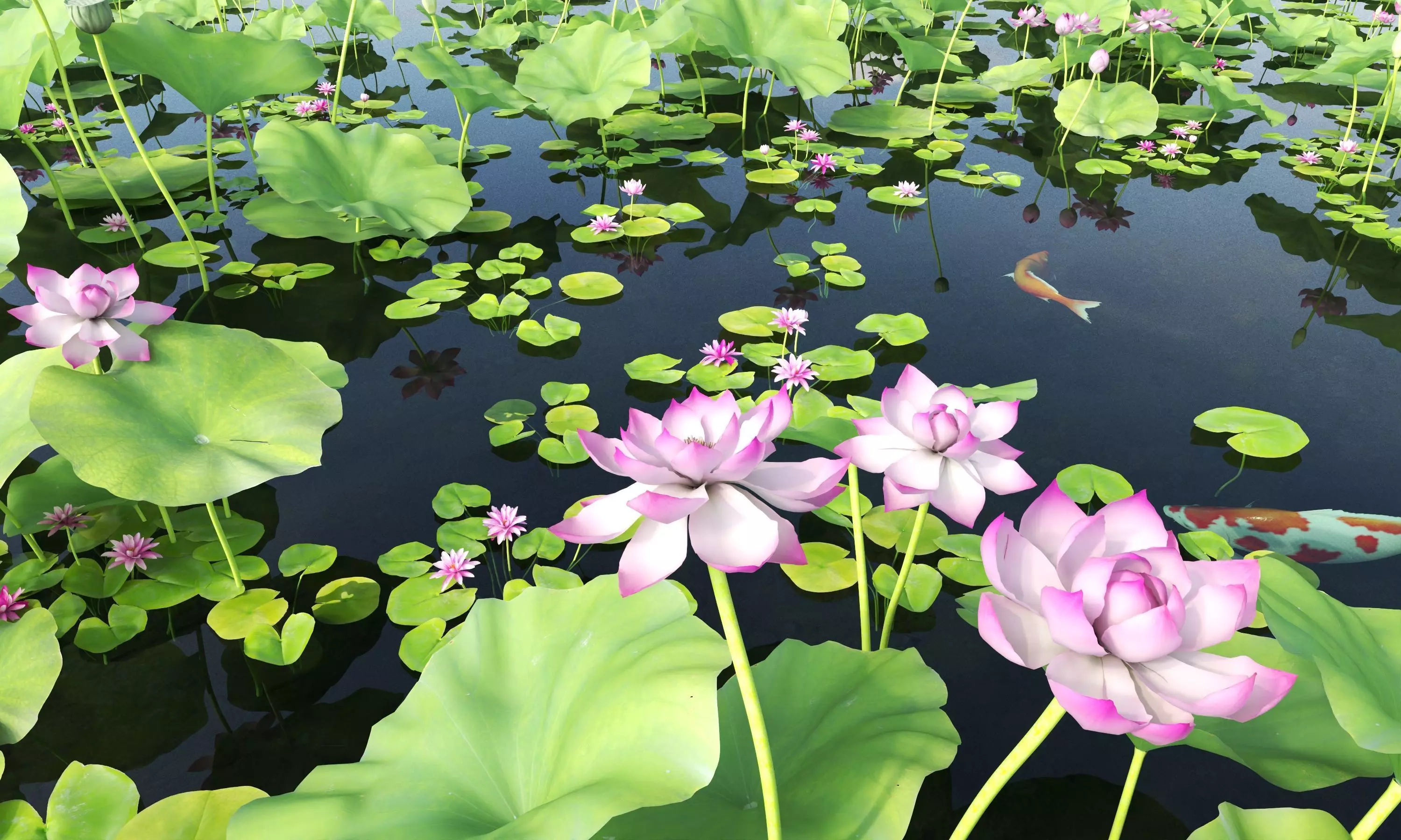 Lotus and Koi Fish Pond 01 Low-poly 3D model_9