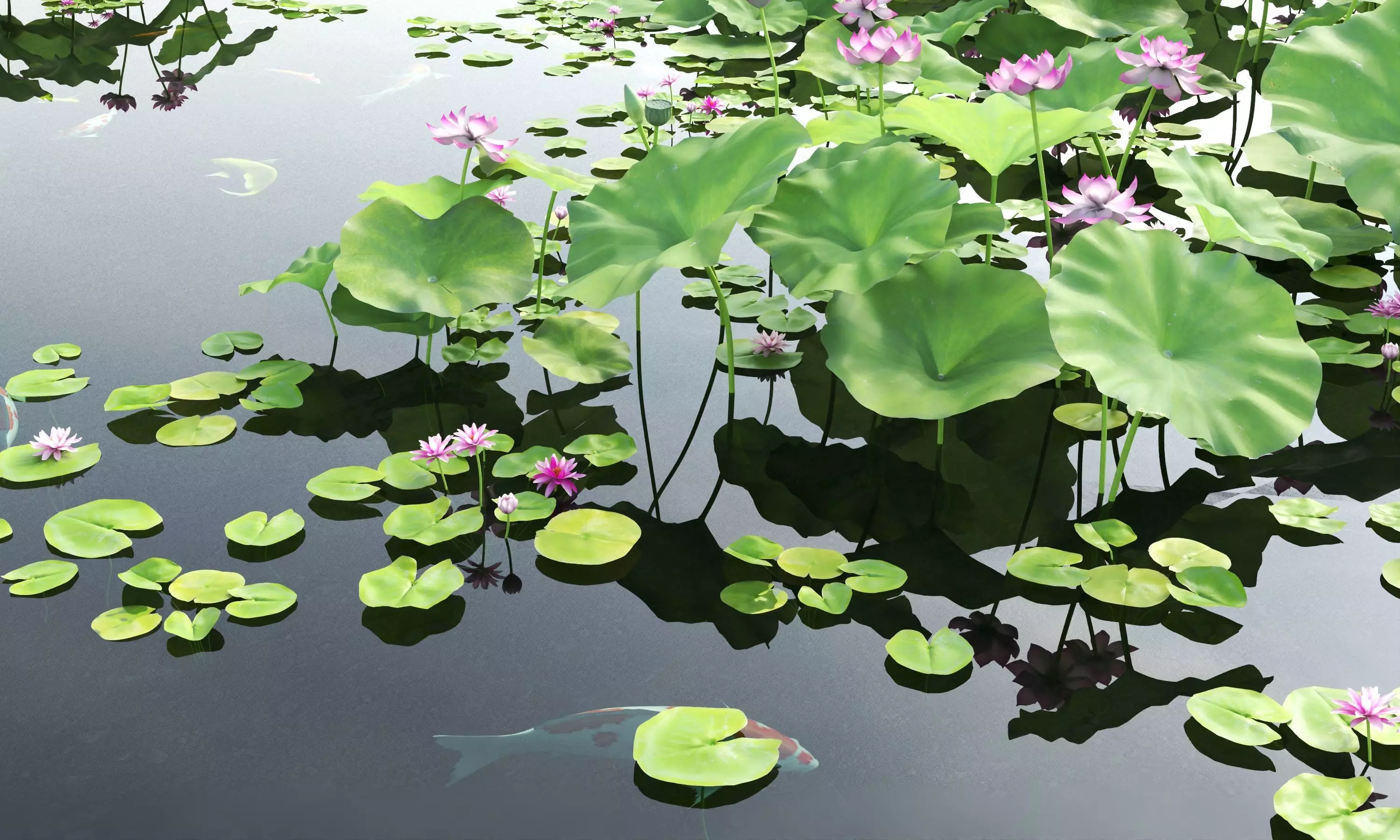 Lotus and Koi Fish Pond 01 Low-poly 3D model_2