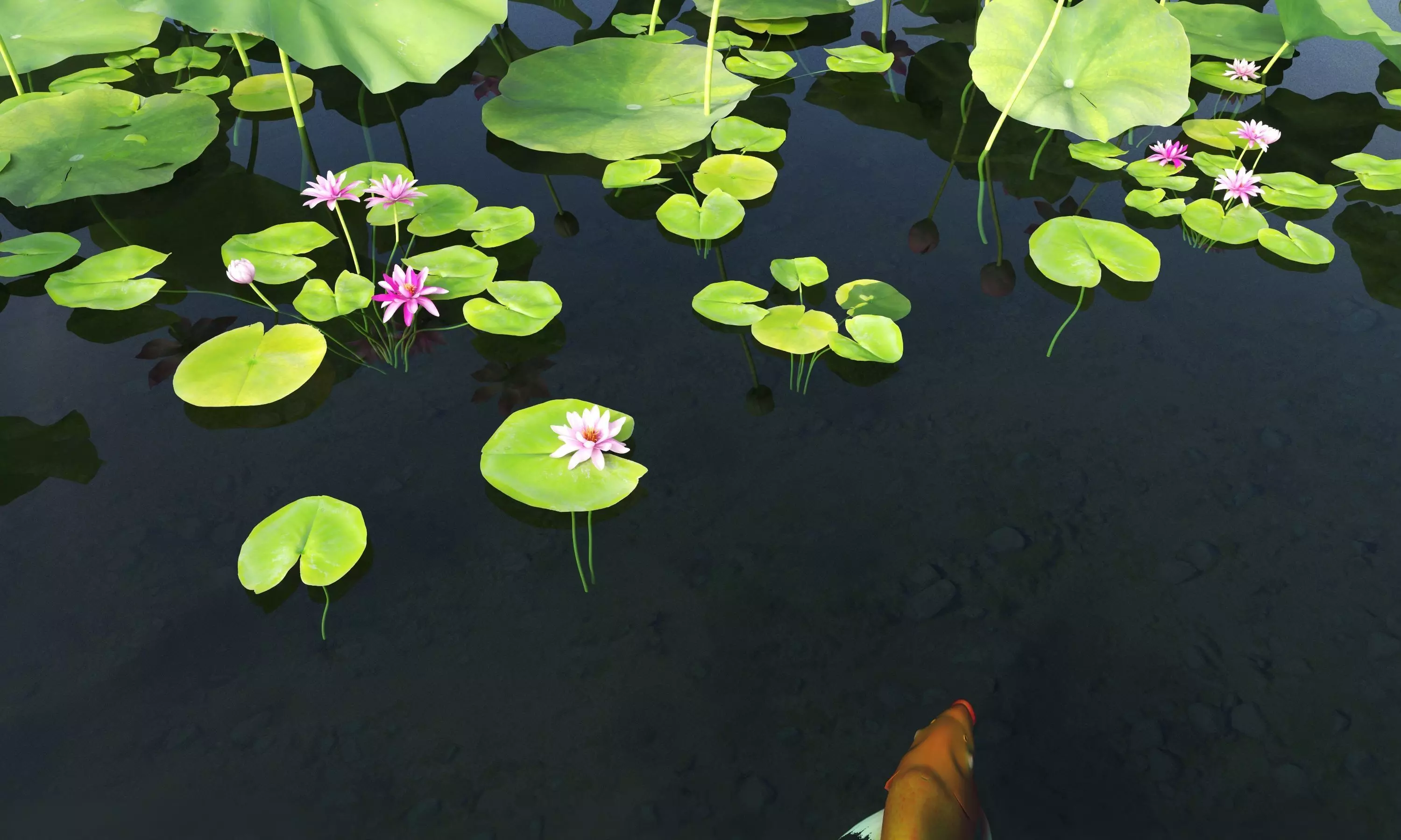 Lotus and Koi Fish Pond 01 Low-poly 3D model_10