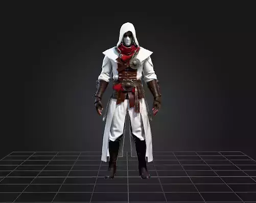 White Hooded Shadow Rogue