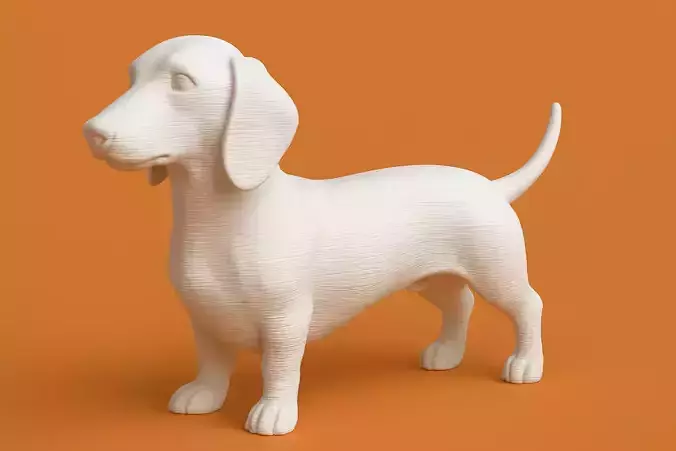 Dachshund Dog Animal