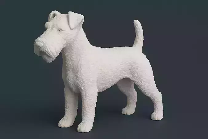 Wire Fox Terrier Dog