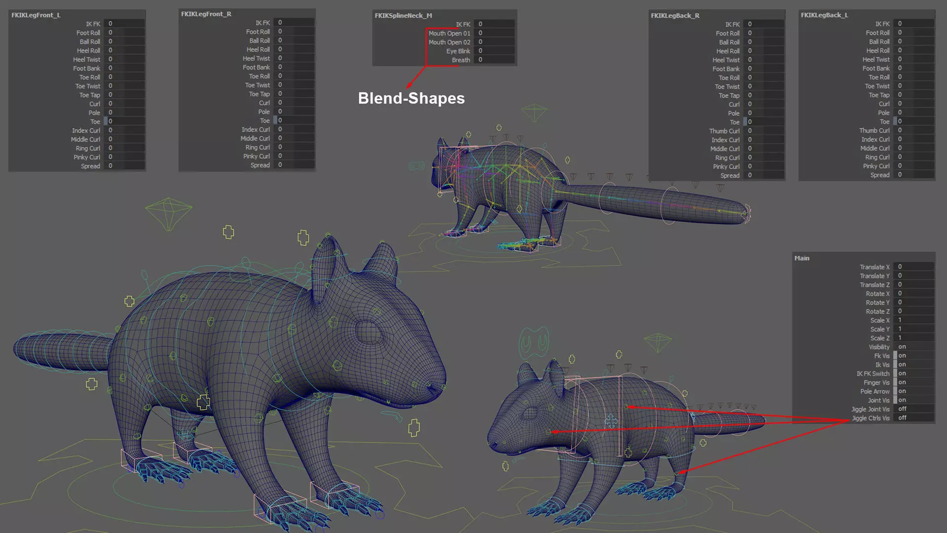 Brown Squirrel Xgen Rigged 3D model_18