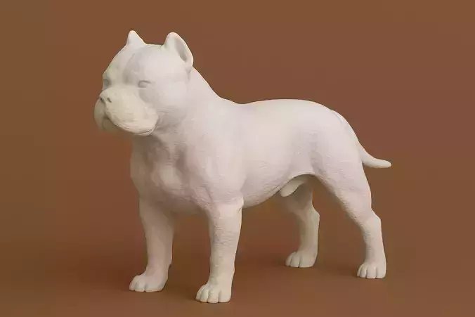 American Bully Dog