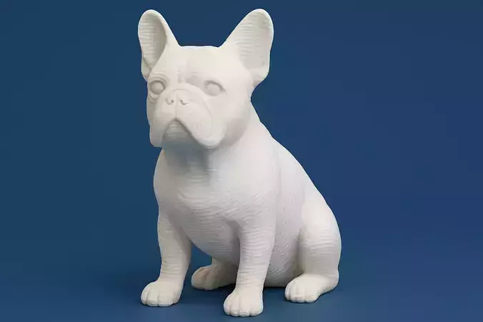 French Bulldog Animal 