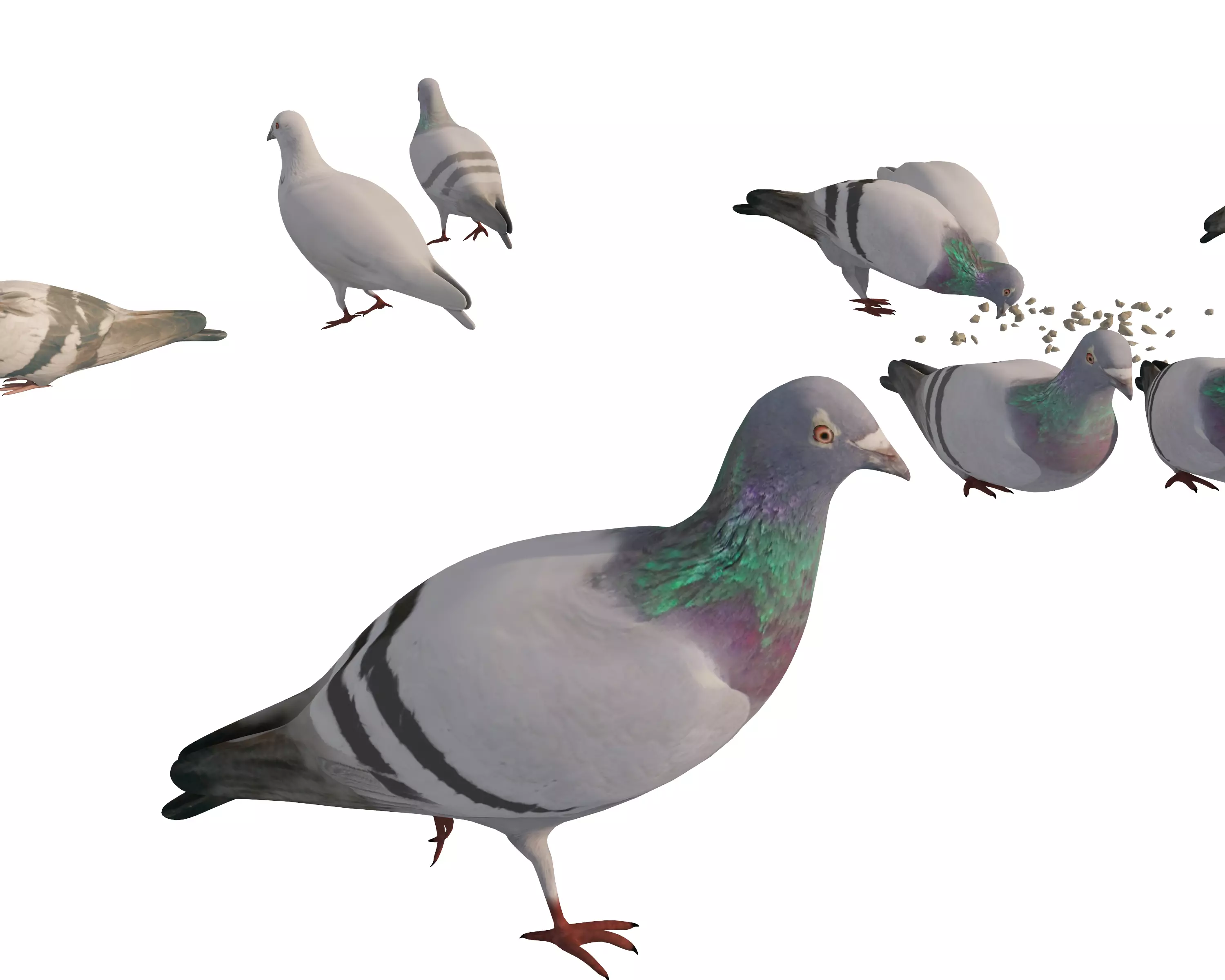 Animated White Dove Low-poly 3D model