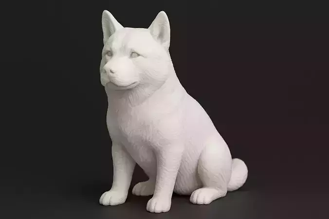 Alaskan Malamute Dog