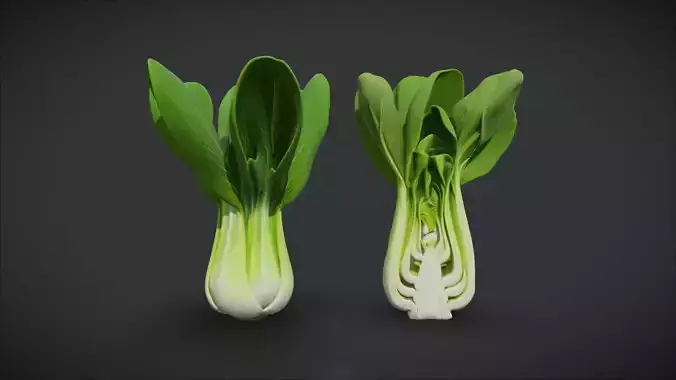Photorealistic Bok Choy Bundle - 2 Models 3D model