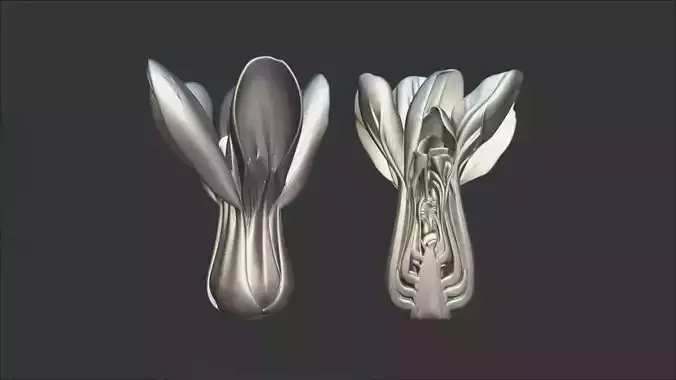 Photorealistic Bok Choy  Bundle - 2 Models 3D model 2