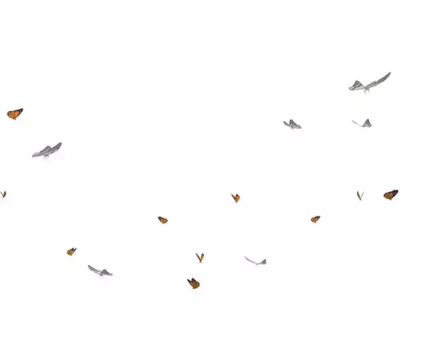 Butterflies  Animated