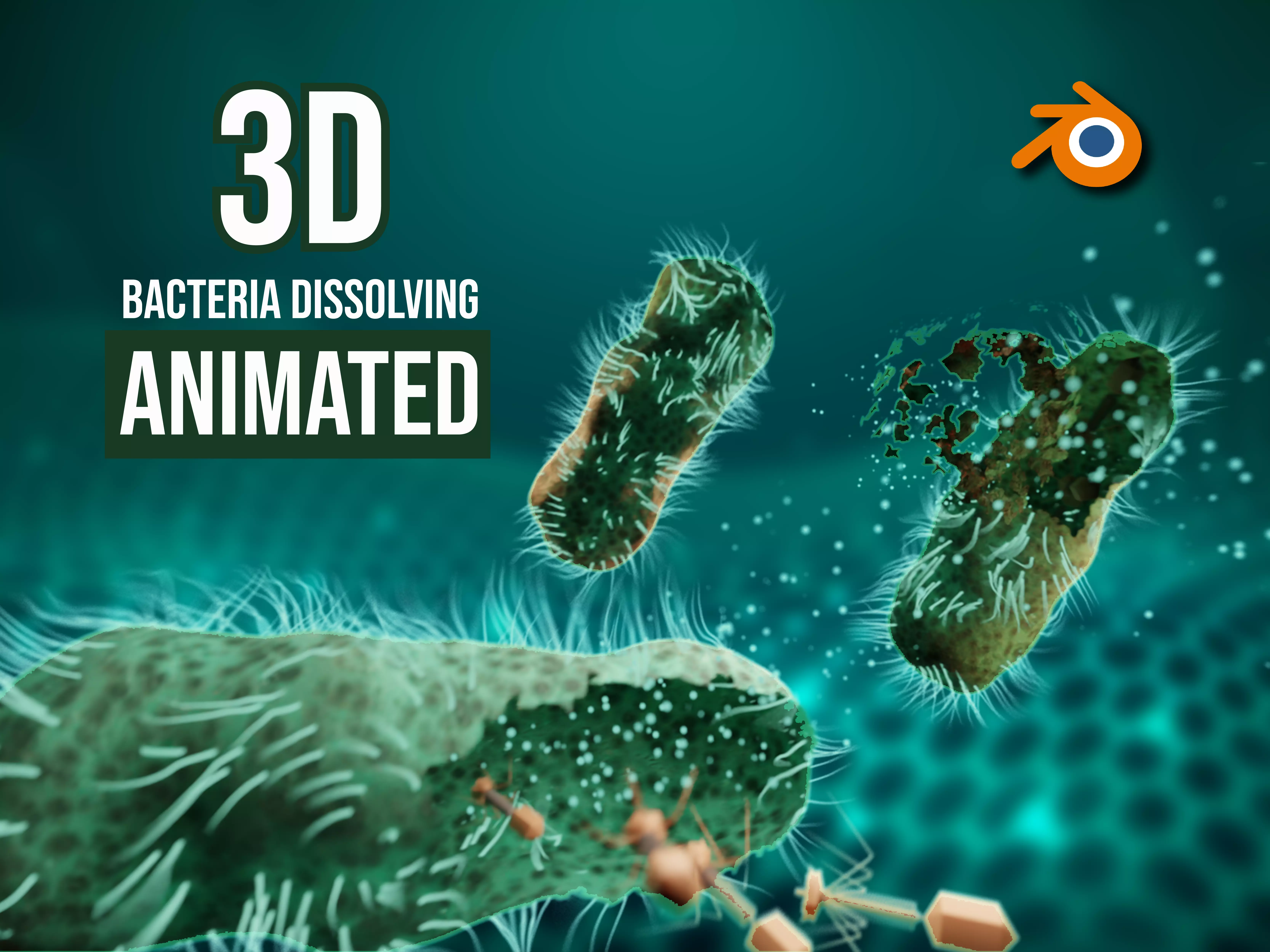 Dissolving bacteria animated 3D model