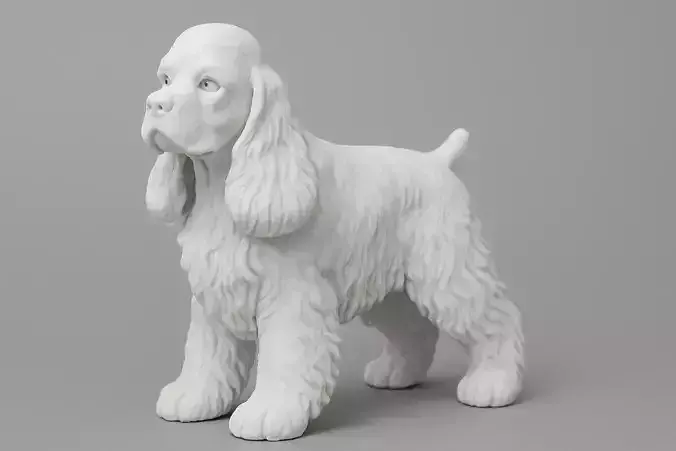 American Cocker Spaniel Dog Animal
