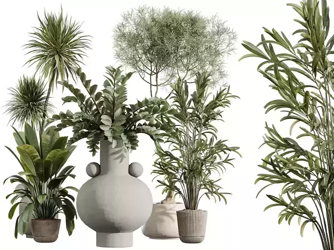 AV Indoor Plants Set 402 Palm Japandi YuccaFicus Zamioculcas