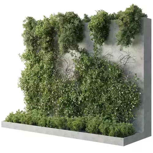 Vertical Wall Garden - Ivy partition - Outdoor garden plant 216