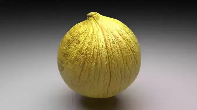 Casaba Melon 3D model 5