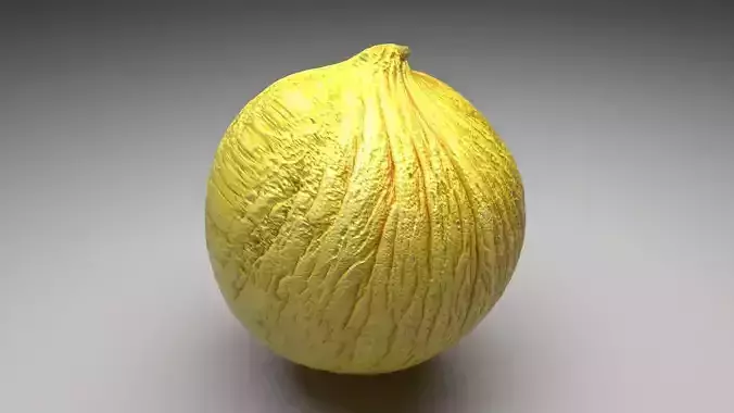 Casaba Melon 3D model 3