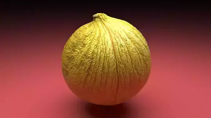 Casaba Melon 3D model 6