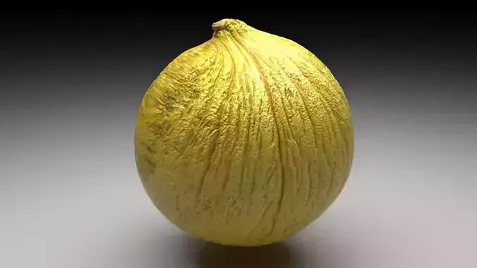 Casaba Melon