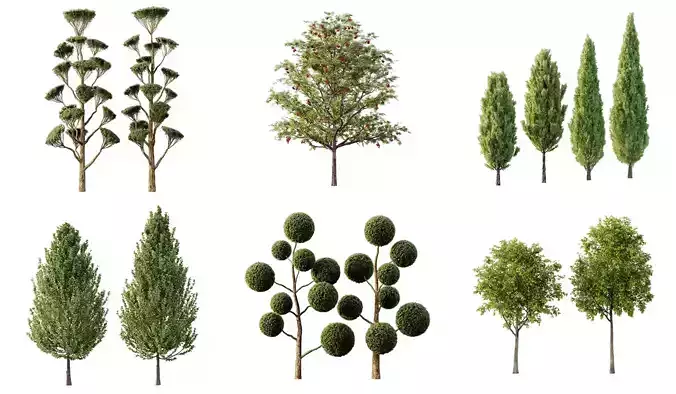 Excellent collection of Outdoor plants 13 Different Models 0028