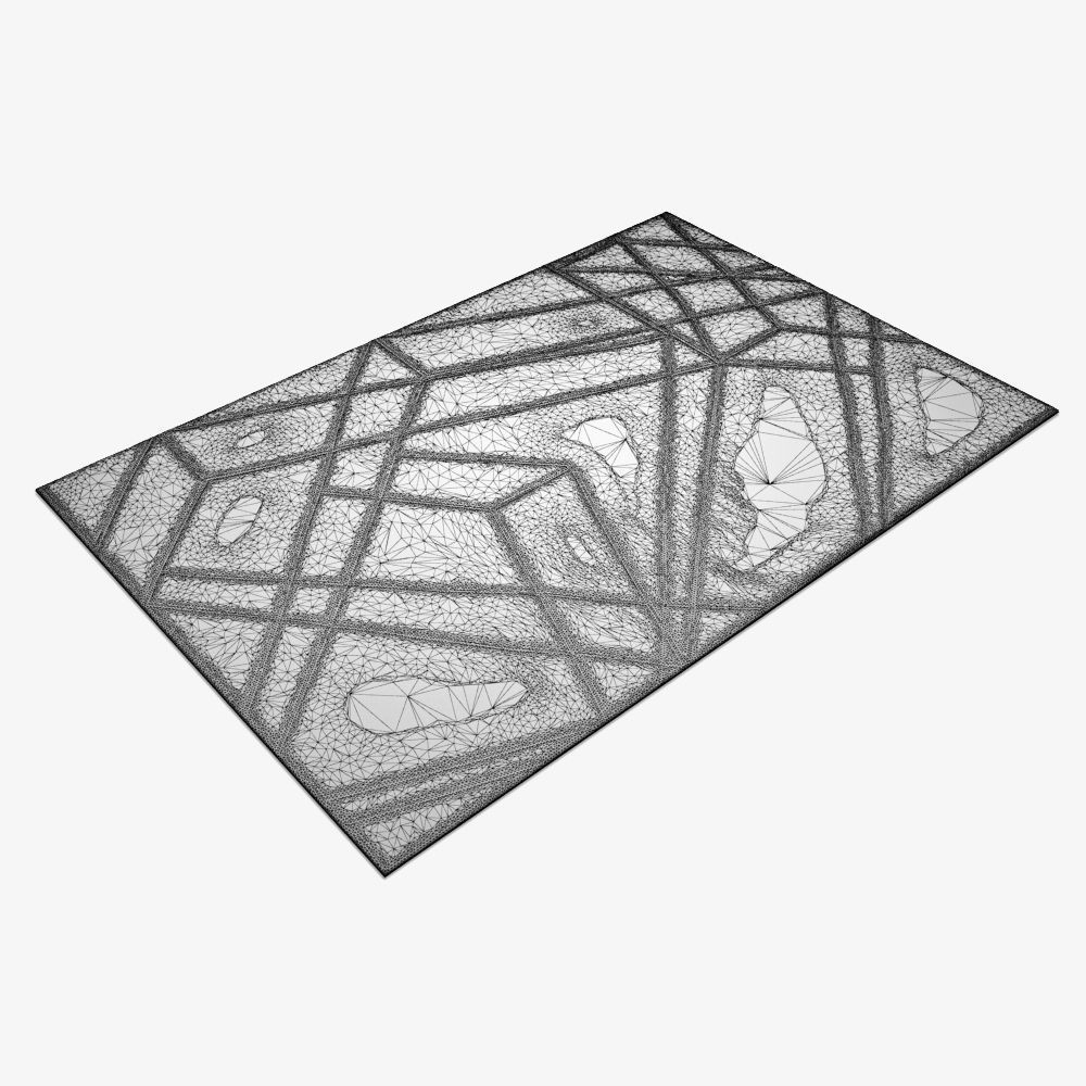 Carpet cc quantum 3D model_4