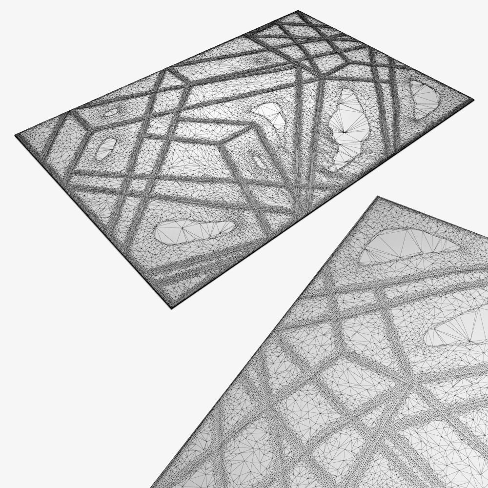 Carpet cc quantum 3D model_6