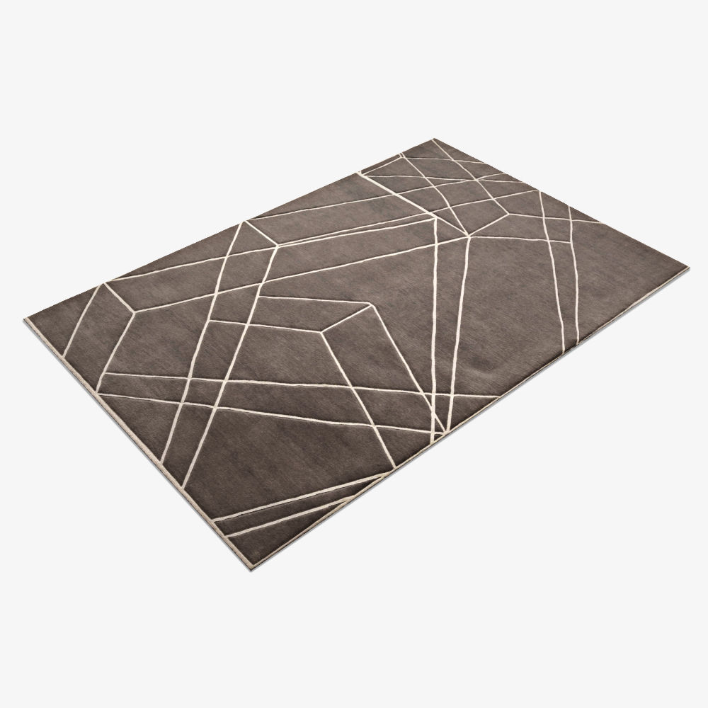 Carpet cc quantum 3D model_2