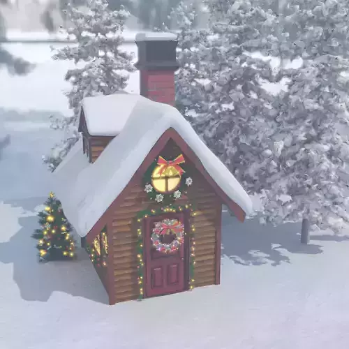 Christmas-illuminated house