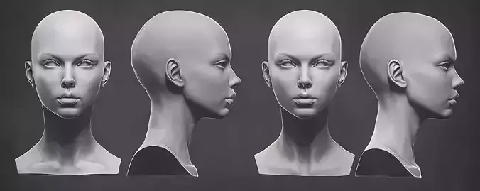 Original  woman facial head sculpture details character design