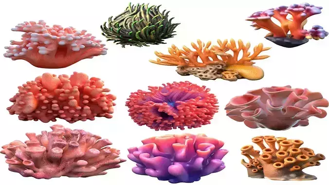 Coral reef collection 1-10