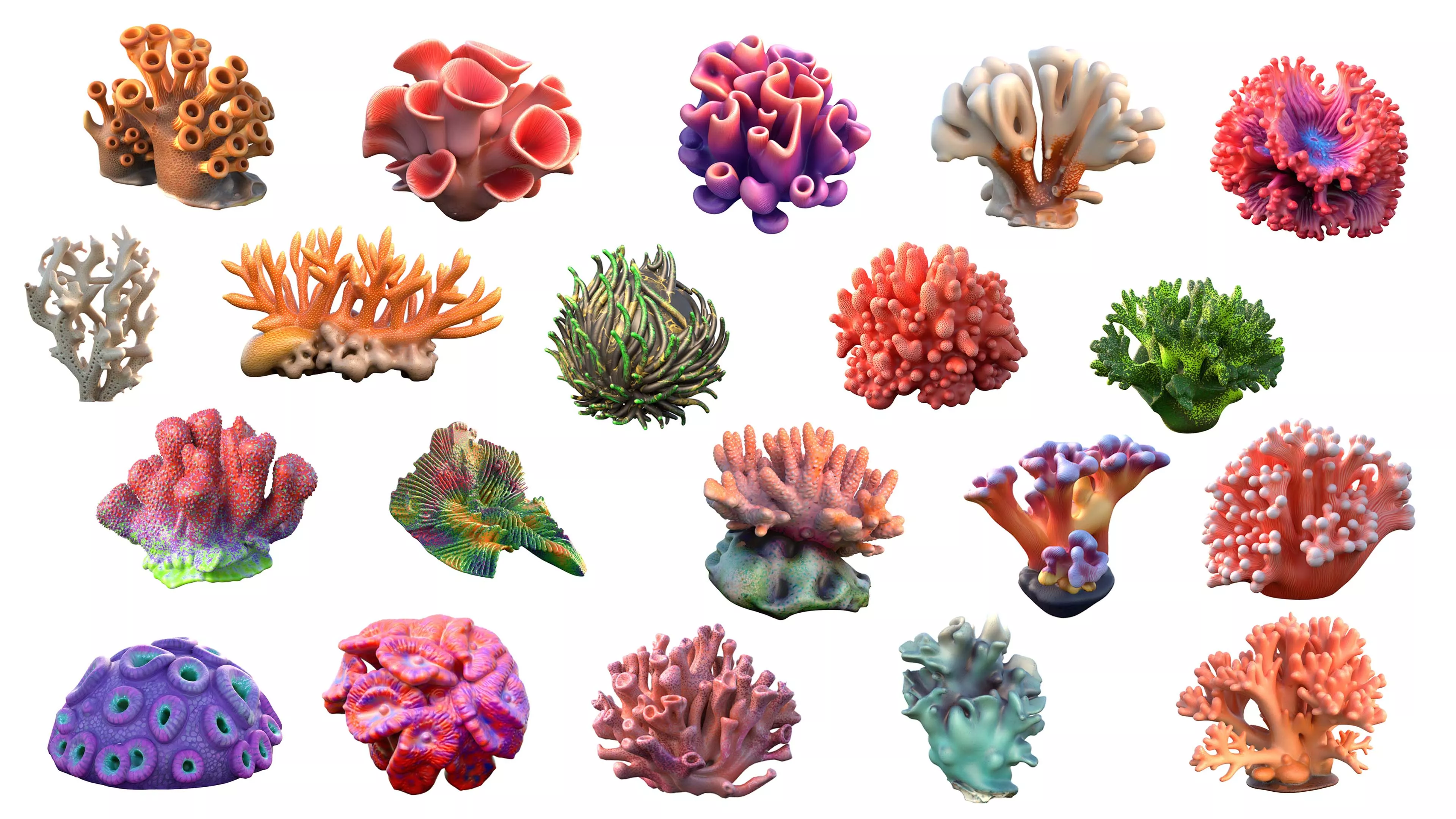 Coral Collection 1-20 Low-poly 3D model