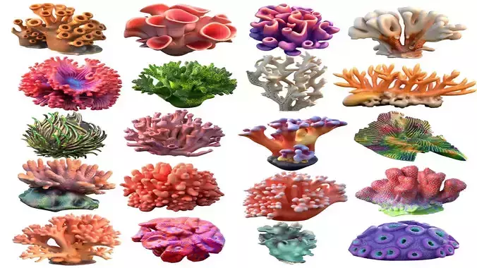 Coral Collection 1-20