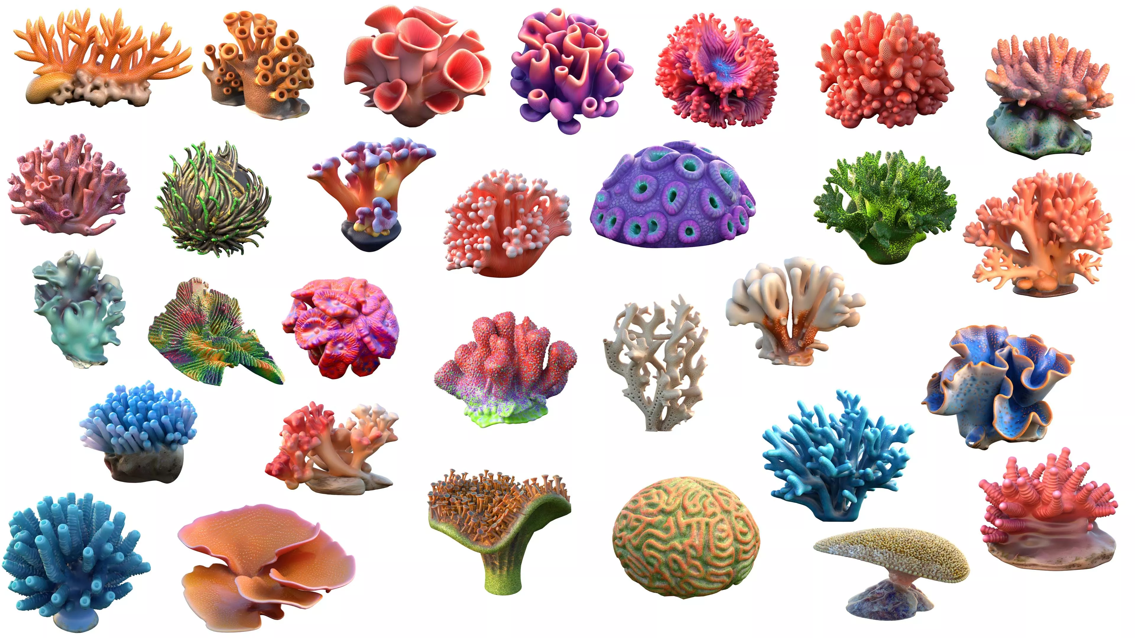 Coral reef collection 1-30 Low-poly 3D model