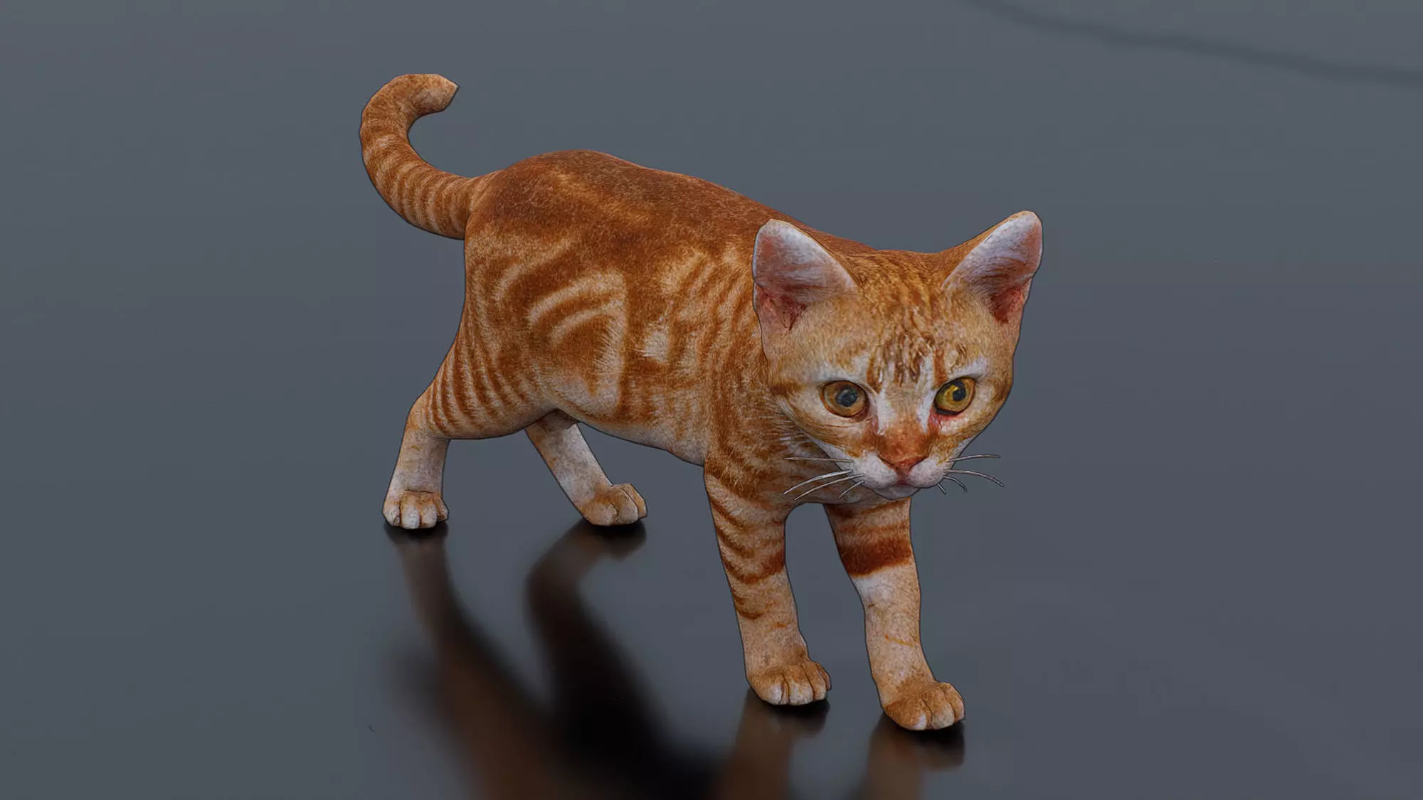Little Ginger Tabby Cat Low-poly 3D model_0