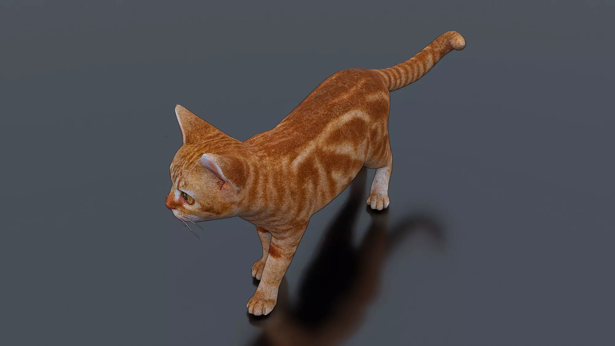 Little Ginger Tabby Cat Low-poly 3D model_2